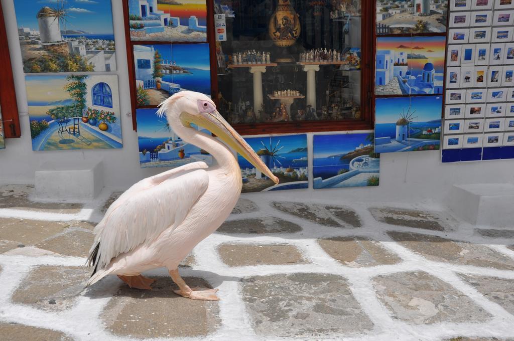 Bleland Mykonos Apartment Mykonos Town Екстериор снимка